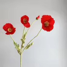Zomerbloei Klaproosboeket – Sierbloemen met Zijdezachte Glans