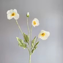 Zomerbloei Klaproosboeket – Sierbloemen met Zijdezachte Glans