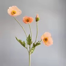 Zomerbloei Klaproosboeket – Sierbloemen met Zijdezachte Glans