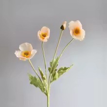 Zomerbloei Klaproosboeket – Sierbloemen met Zijdezachte Glans