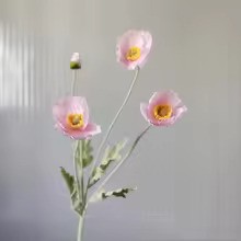 Zomerbloei Klaproosboeket – Sierbloemen met Zijdezachte Glans