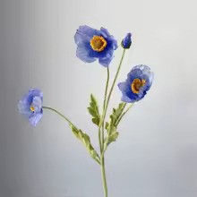 Zomerbloei Klaproosboeket – Sierbloemen met Zijdezachte Glans