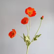 Zomerbloei Klaproosboeket – Sierbloemen met Zijdezachte Glans