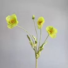 Zomerbloei Klaproosboeket – Sierbloemen met Zijdezachte Glans