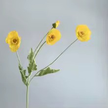 Zomerbloei Klaproosboeket – Sierbloemen met Zijdezachte Glans