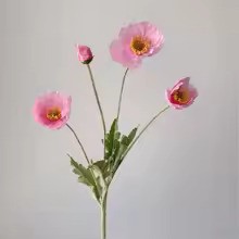 Zomerbloei Klaproosboeket – Sierbloemen met Zijdezachte Glans