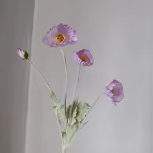 Zomerbloei Klaproosboeket – Sierbloemen met Zijdezachte Glans