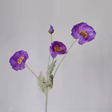 Zomerbloei Klaproosboeket – Sierbloemen met Zijdezachte Glans