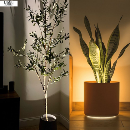 LED plantenbak sfeerverlichting