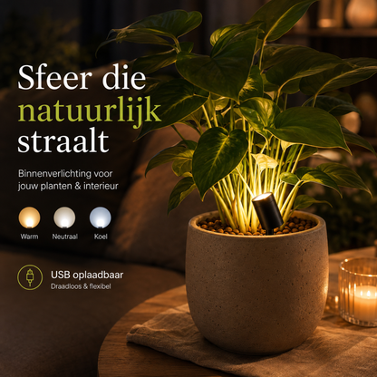 LuxeFlora - LED Spot voor de perfecte ambiance