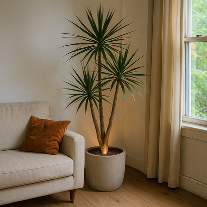 LuxeLumi - LED Spot voor kamerplanten