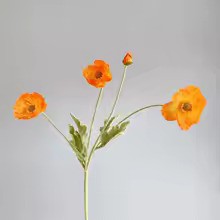 Zomerbloei Klaproosboeket – Sierbloemen met Zijdezachte Glans