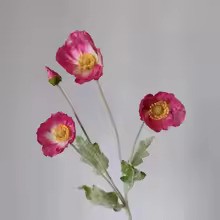Zomerbloei Klaproosboeket – Sierbloemen met Zijdezachte Glans