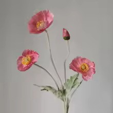 Zomerbloei Klaproosboeket – Sierbloemen met Zijdezachte Glans