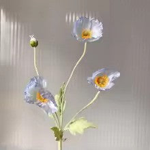 Zomerbloei Klaproosboeket – Sierbloemen met Zijdezachte Glans