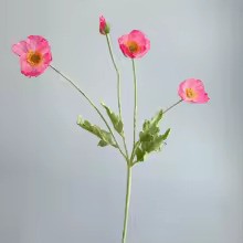 Zomerbloei Klaproosboeket – Sierbloemen met Zijdezachte Glans