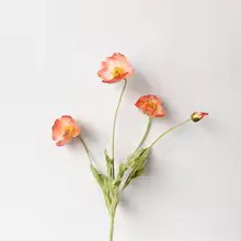 Zomerbloei Klaproosboeket – Sierbloemen met Zijdezachte Glans