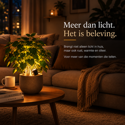 LuxeFlora - LED Spot voor de perfecte ambiance